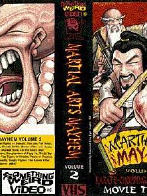 Martial Arts Mayhem Vol. 2