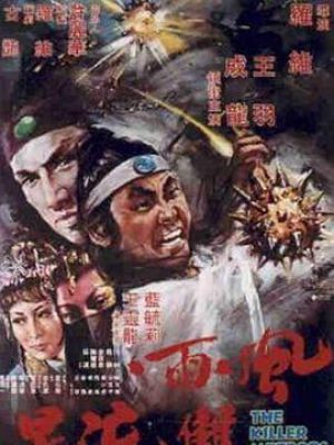 风雨双流星