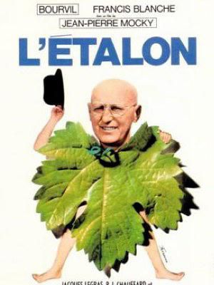 L'étalon