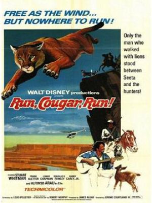 Run, Cougar, Run