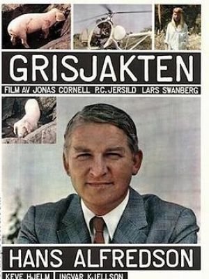 Grisjakten