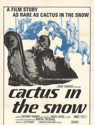 Cactus in the Snow