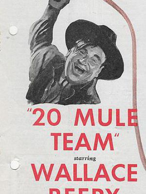 20 Mule Team