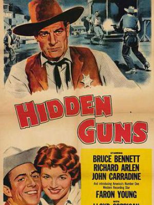 Hidden Guns