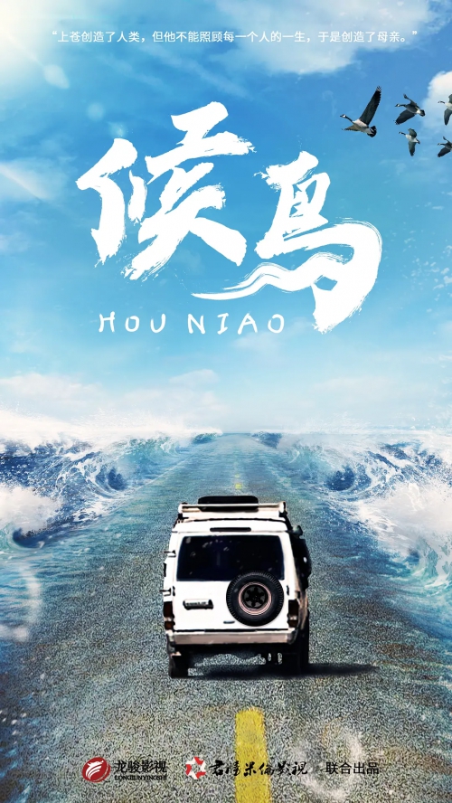 候鸟