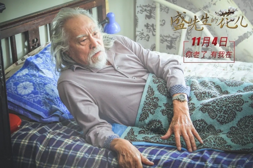 盛先生的花儿