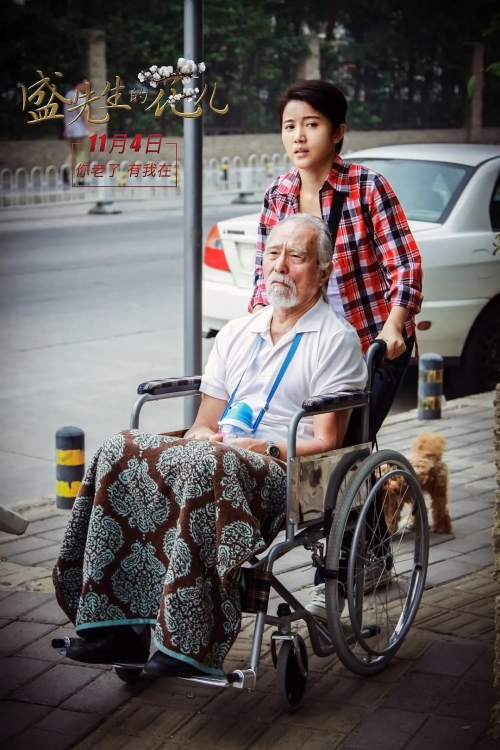 盛先生的花儿