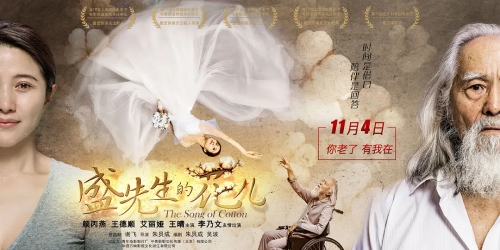 盛先生的花儿