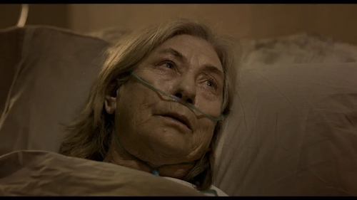等不到的黎明