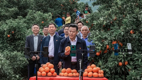 天地之间
