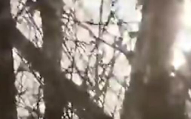 《第27章》预告片