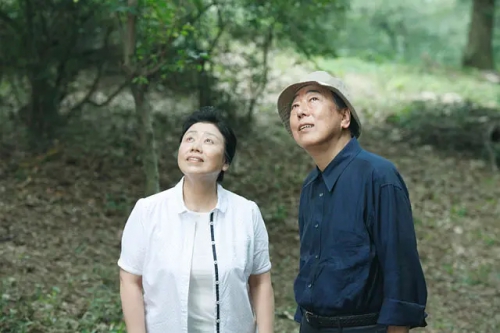 团地