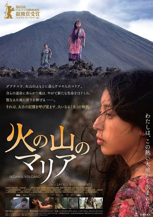 火山下的人生
