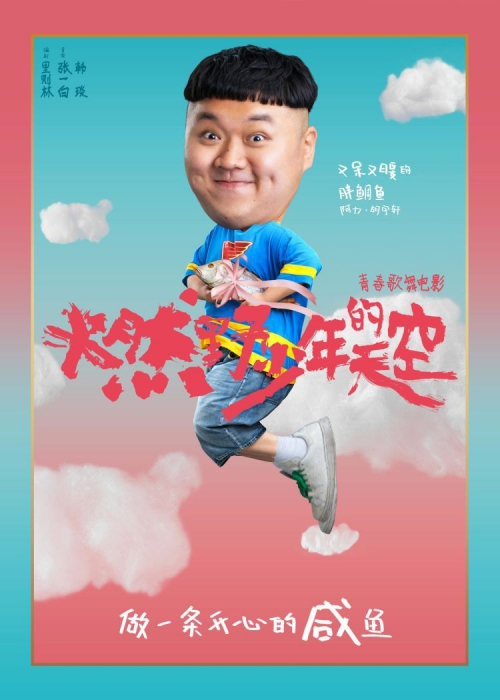 燃野少年的天空