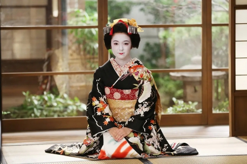 窈窕舞妓