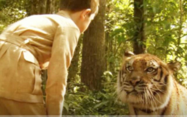 小男孩抓到一只小老虎，带回家后把它当宠物养，对它像亲人一样！