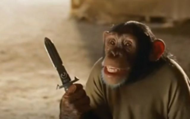 金刚归来：猩猩为救人和敌人打架，智勇双全！