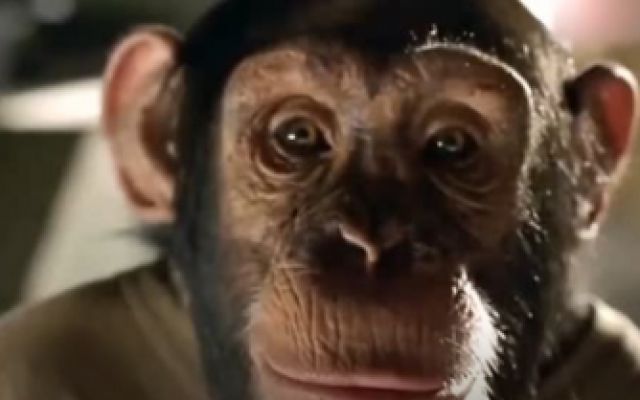 金刚归来：这只猩猩实在太机智了，打不过对方就亲他一口！