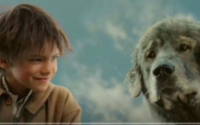 《灵犬雪莉 》小男孩嫌弃它是小灰狗，洗完澡，原来是个大白熊