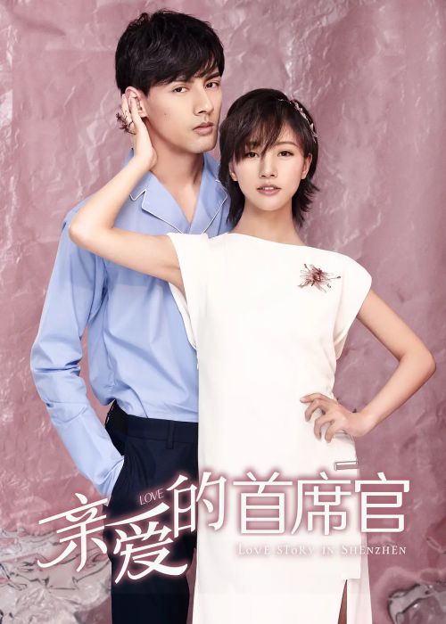 亲爱的首席官