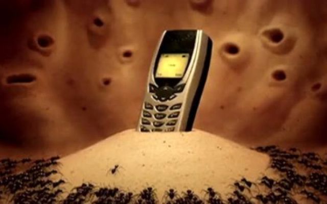昆虫总动员：蚂蚁大军意外把手机搬回洞穴，结果太吵又给扔出去