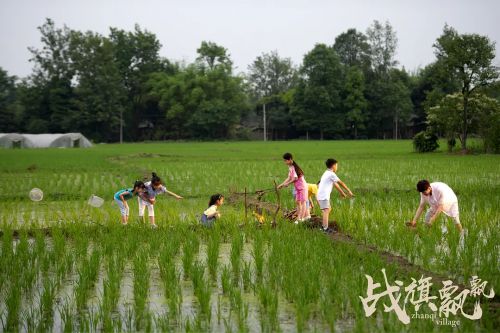 战旗飘飘