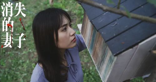消失的妻子
