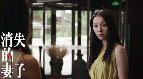 消失的妻子