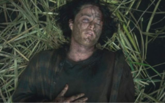《高草丛中》：头皮发麻，一部关于草的恐怖片！心慌方导演新片