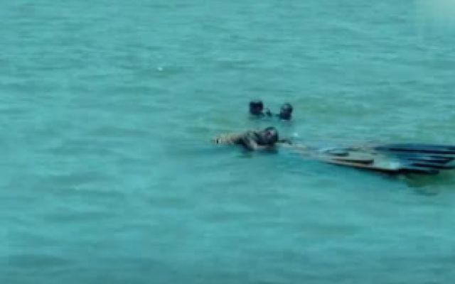 印第安纳波利斯号：幸存船员漂浮在海上，鲨鱼来了，他们能咋办？