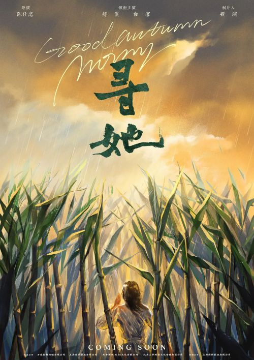 寻她