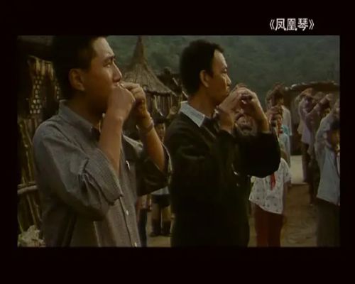 凤凰琴