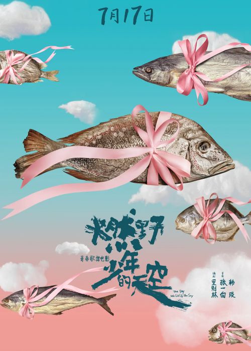 燃野少年的天空