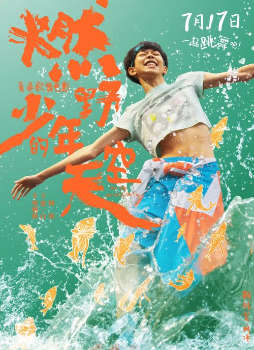 燃野少年的天空
