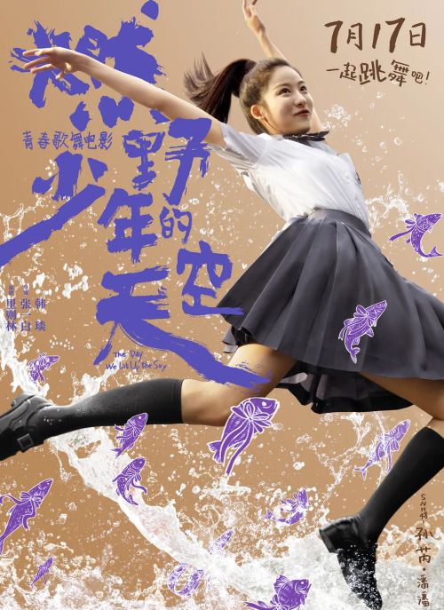 燃野少年的天空