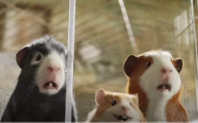 迪士尼顶尖3D电影：小豚鼠也能拯救世界