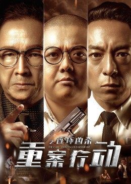 重案行动之连环凶杀