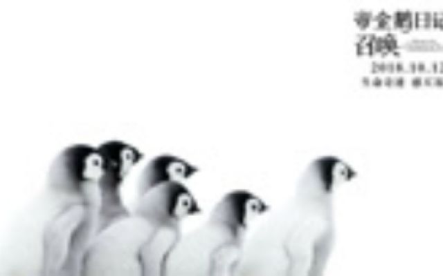 《帝企鹅日记2》定档预告 奥斯卡最佳纪录片再启程