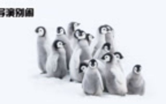 爆笑解说呆萌小企鹅的成长日记《帝企鹅日记2》