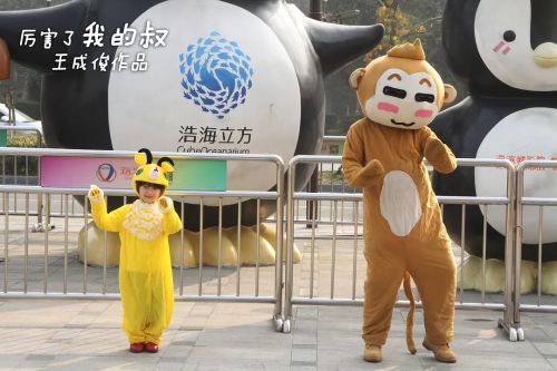 厉害了我的叔