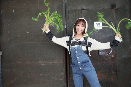 恋爱合约