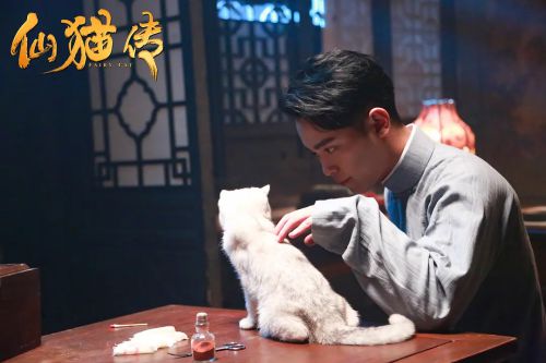 仙猫传
