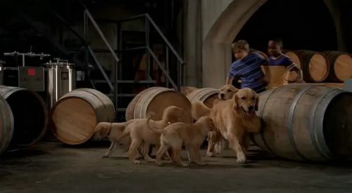 神犬小巴迪