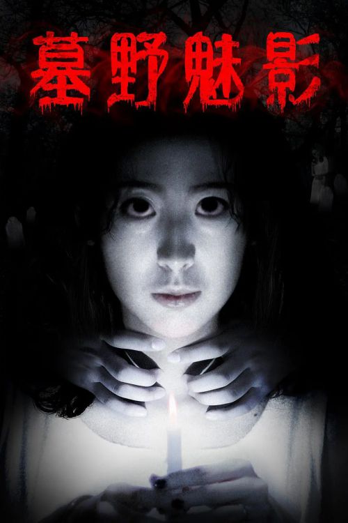 诡宅丽影