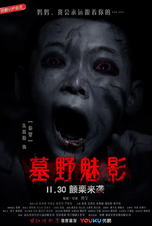诡宅丽影