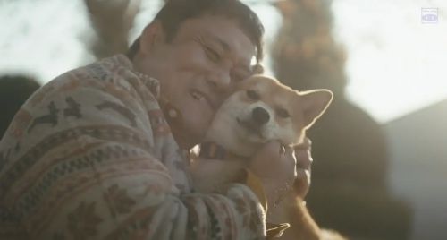 柴公園