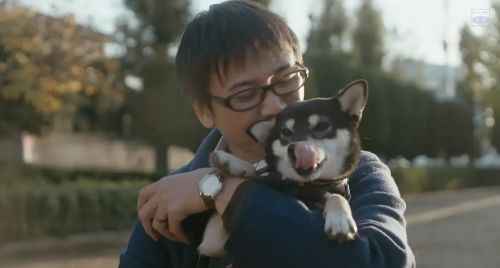 柴公園