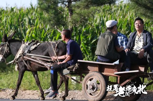 旺角老炮闯东北