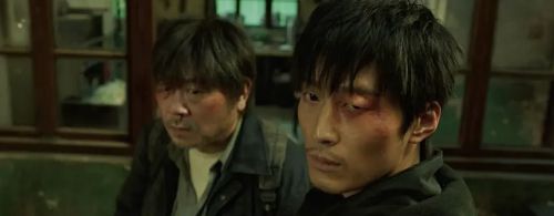 不速来客
