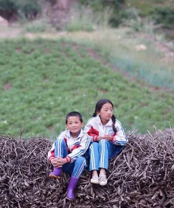 《旺扎的雨靴》很有念想的藏语儿童片